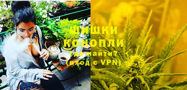 прущая мука Вяземский