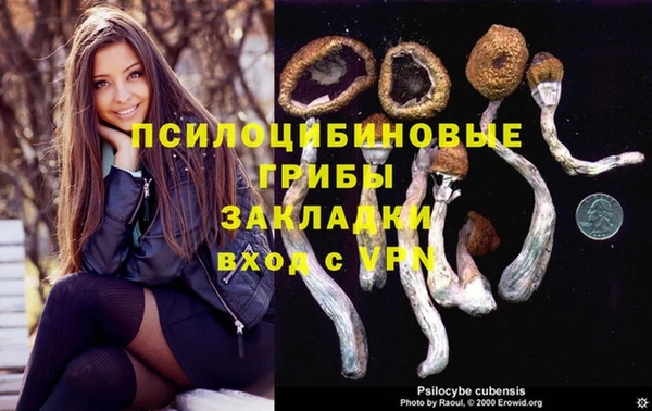 стаф Горнозаводск