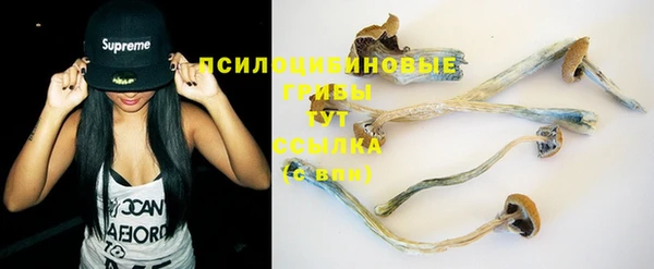 каннабис Гусиноозёрск