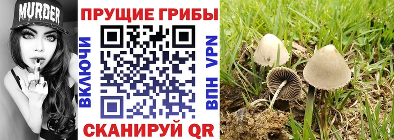 Галлюциногенные грибы ЛСД Гулькевичи